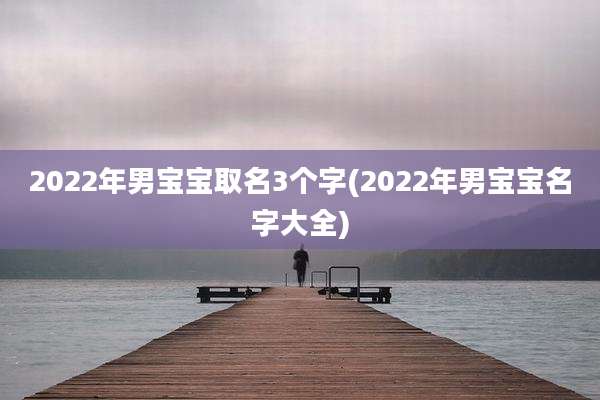 2022年男宝宝取名3个字(2022年男宝宝名字大全)