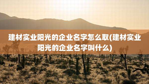 建材实业阳光的企业名字怎么取(建材实业阳光的企业名字叫什么)