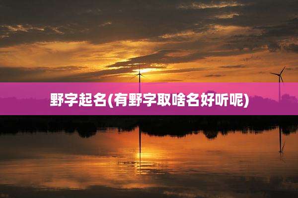 野字起名(有野字取啥名好听呢)