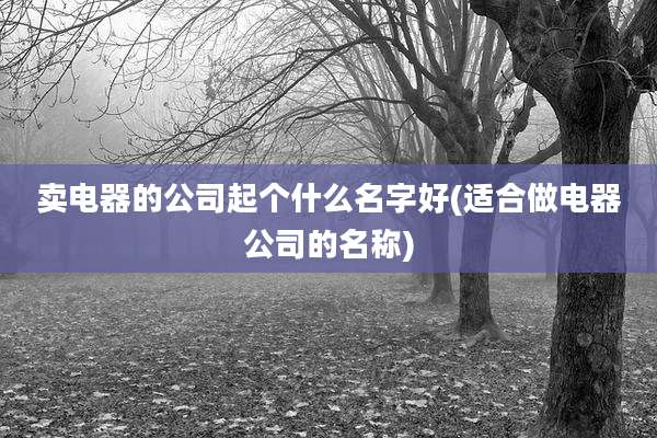卖电器的公司起个什么名字好(适合做电器公司的名称)