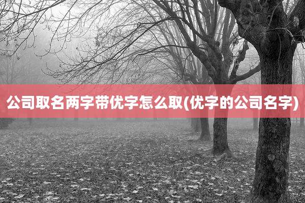 公司取名两字带优字怎么取(优字的公司名字)