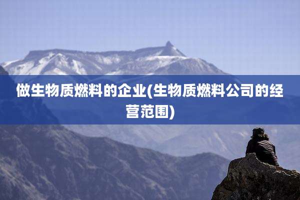 做生物质燃料的企业(生物质燃料公司的经营范围)