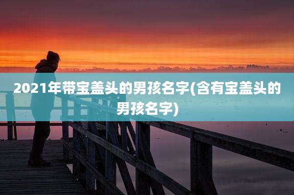 2021年带宝盖头的男孩名字(含有宝盖头的男孩名字)