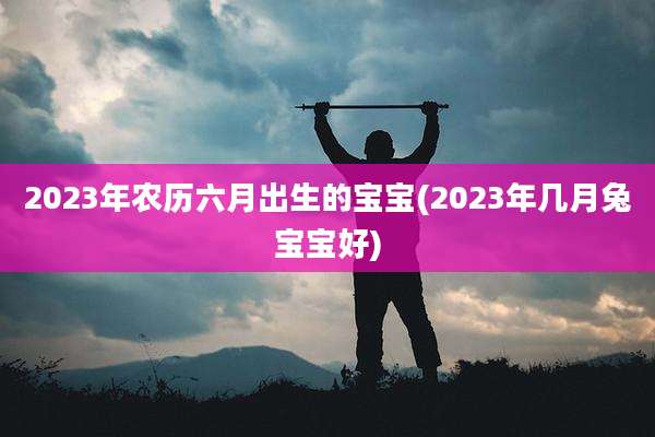 2023年农历六月出生的宝宝(2023年几月兔宝宝好)