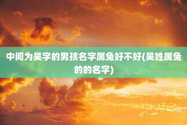 中间为吴字的男孩名字属兔好不好(吴姓属兔的的名字)