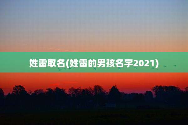 姓雷取名(姓雷的男孩名字2021)