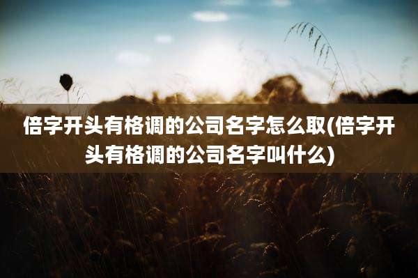 倍字开头有格调的公司名字怎么取(倍字开头有格调的公司名字叫什么)