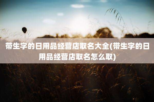 带生字的日用品经营店取名大全(带生字的日用品经营店取名怎么取)
