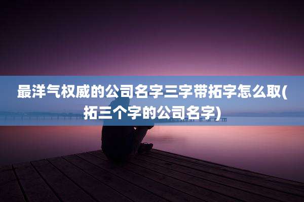 最洋气权威的公司名字三字带拓字怎么取(拓三个字的公司名字)