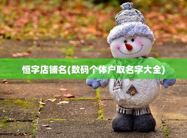 恒字店铺名(数码个体户取名字大全)