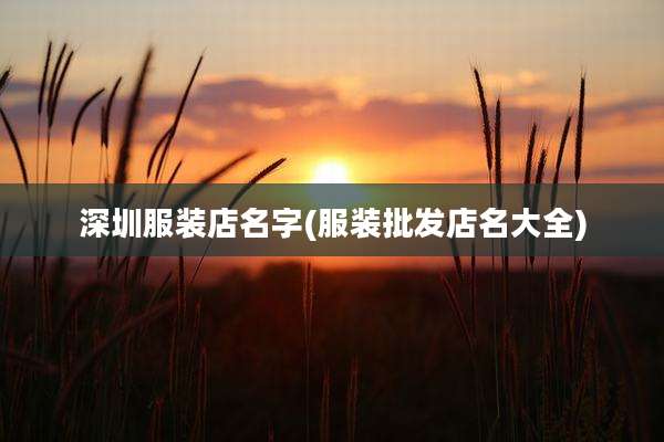 深圳服装店名字(服装批发店名大全)