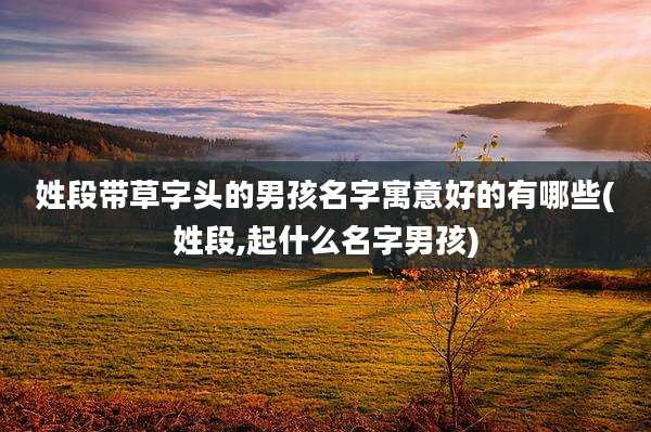 姓段带草字头的男孩名字寓意好的有哪些(姓段,起什么名字男孩)