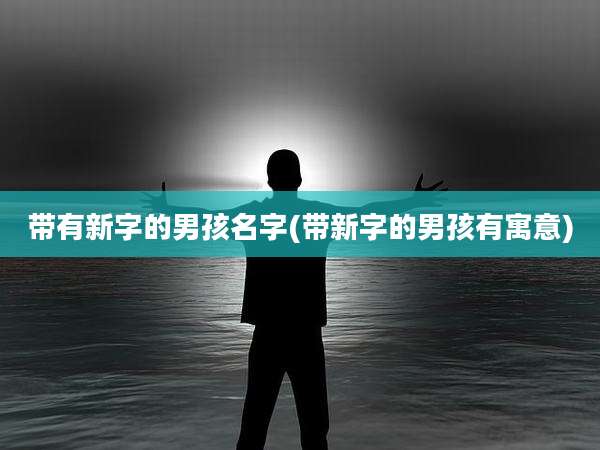 带有新字的男孩名字(带新字的男孩有寓意)