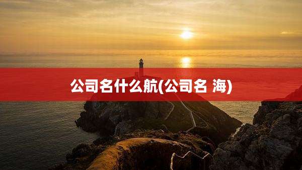 公司名什么航(公司名 海)