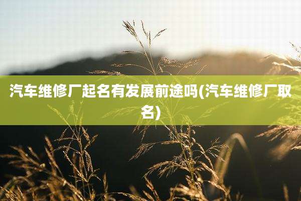 汽车维修厂起名有发展前途吗(汽车维修厂取名)