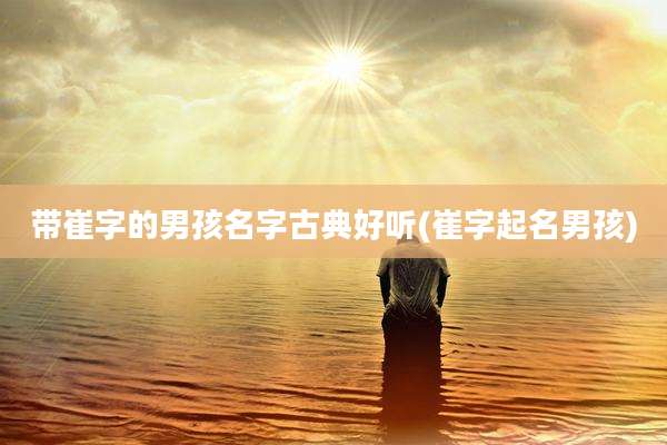 带崔字的男孩名字古典好听(崔字起名男孩)