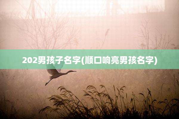 202男孩子名字(顺口响亮男孩名字)