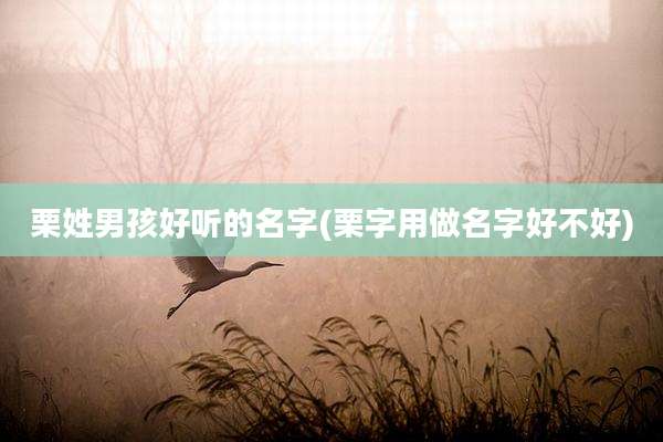 栗姓男孩好听的名字(栗字用做名字好不好)