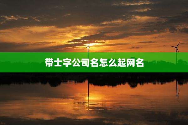 带士字公司名怎么起网名
