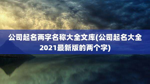 公司起名两字名称大全文库(公司起名大全2021最新版的两个字)