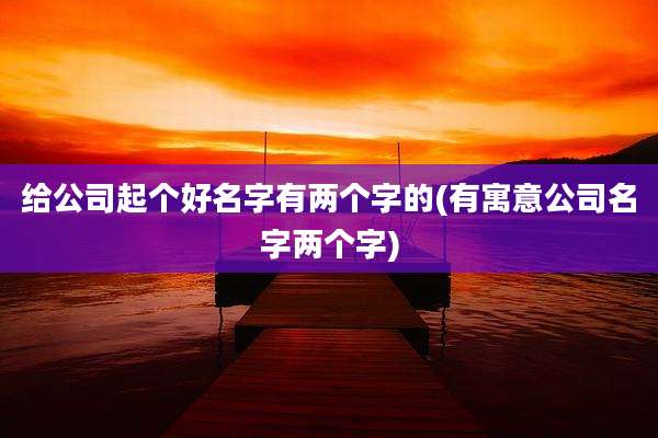 给公司起个好名字有两个字的(有寓意公司名字两个字)