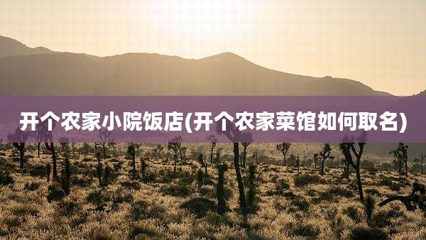 开个农家小院饭店(开个农家菜馆如何取名)