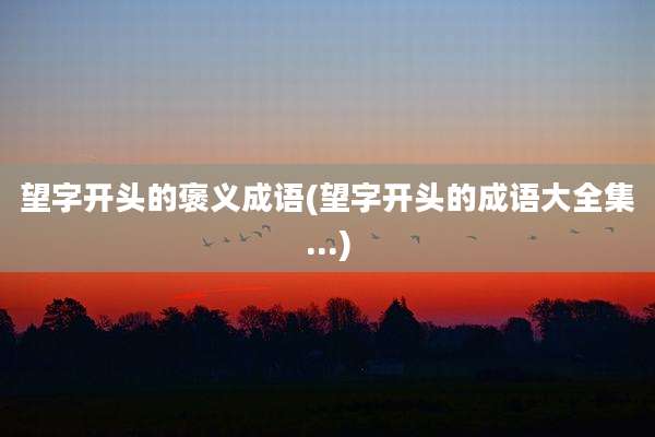 望字开头的褒义成语(望字开头的成语大全集...)