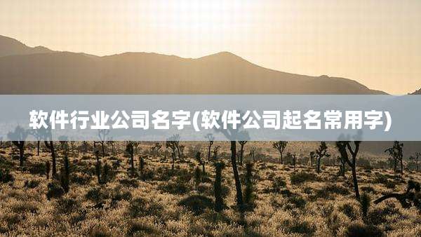 软件行业公司名字(软件公司起名常用字)