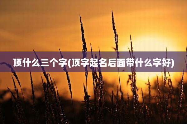 顶什么三个字(顶字起名后面带什么字好)