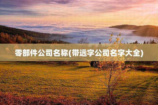 零部件公司名称(带远字公司名字大全)