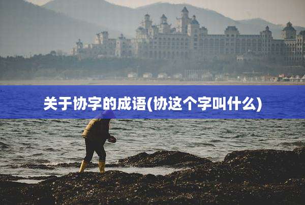 关于协字的成语(协这个字叫什么)