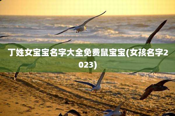 丁姓女宝宝名字大全免费鼠宝宝(女孩名字2023)