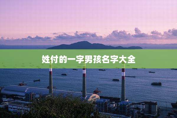 姓付的一字男孩名字大全