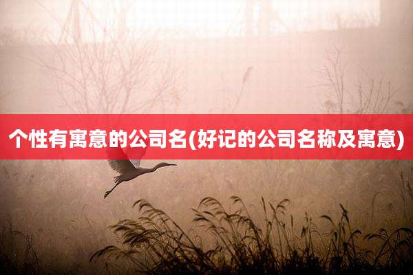 个性有寓意的公司名(好记的公司名称及寓意)