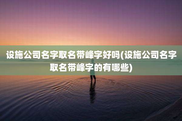 设施公司名字取名带峰字好吗(设施公司名字取名带峰字的有哪些)