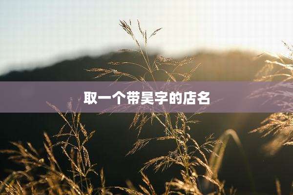 取一个带昊字的店名