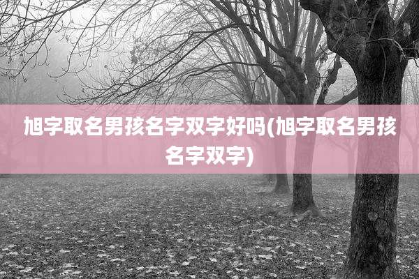 旭字取名男孩名字双字好吗(旭字取名男孩名字双字)
