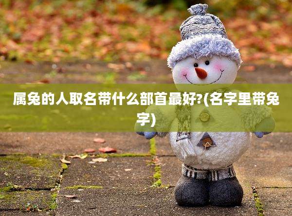 属兔的人取名带什么部首最好?(名字里带兔字)