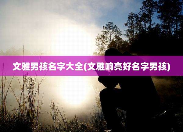 文雅男孩名字大全(文雅响亮好名字男孩)