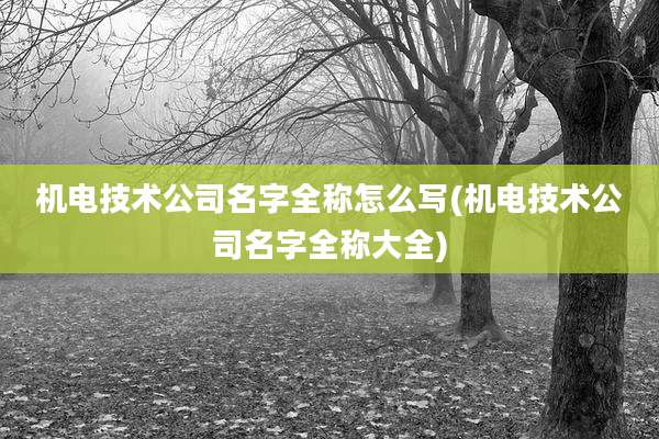 机电技术公司名字全称怎么写(机电技术公司名字全称大全)
