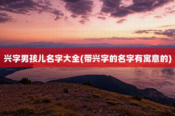 兴字男孩儿名字大全(带兴字的名字有寓意的)