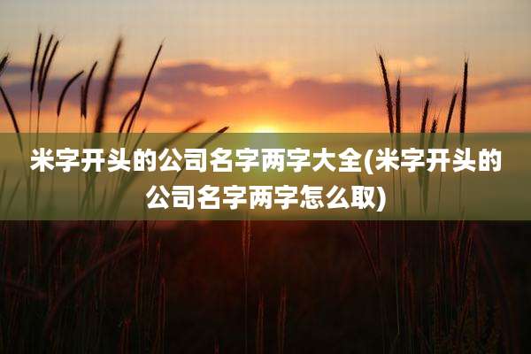 米字开头的公司名字两字大全(米字开头的公司名字两字怎么取)