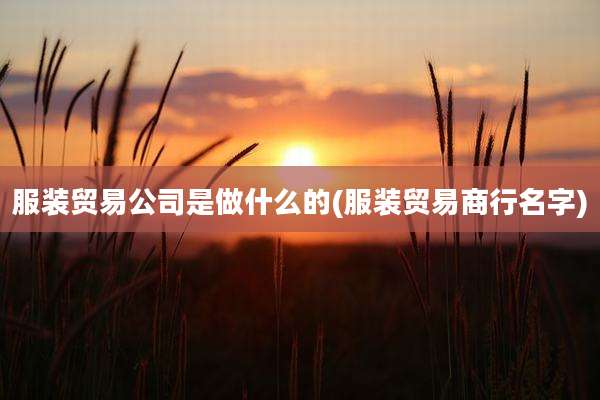 服装贸易公司是做什么的(服装贸易商行名字)