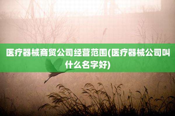 医疗器械商贸公司经营范围(医疗器械公司叫什么名字好)