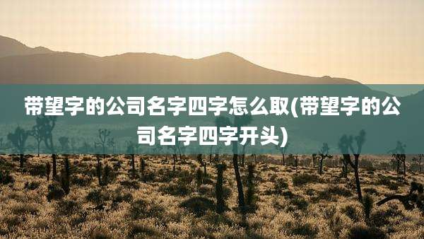 带望字的公司名字四字怎么取(带望字的公司名字四字开头)
