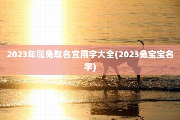 2023年属兔取名宜用字大全(2023兔宝宝名字)