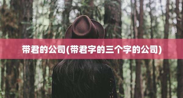 带君的公司(带君字的三个字的公司)