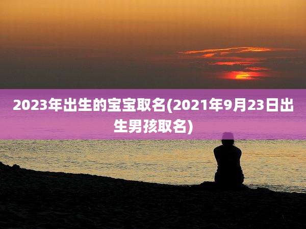2023年出生的宝宝取名(2021年9月23日出生男孩取名)