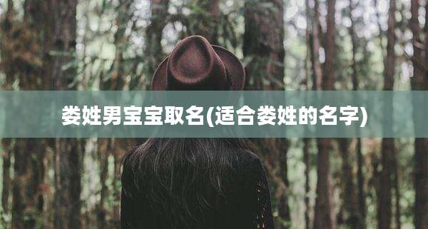 娄姓男宝宝取名(适合娄姓的名字)