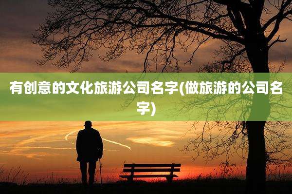 有创意的文化旅游公司名字(做旅游的公司名字)
